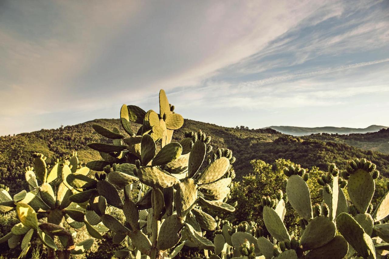Bed and Breakfast Casale I Cirillo Rutino Exterior foto