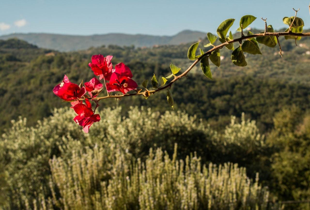 Bed and Breakfast Casale I Cirillo Rutino Exterior foto