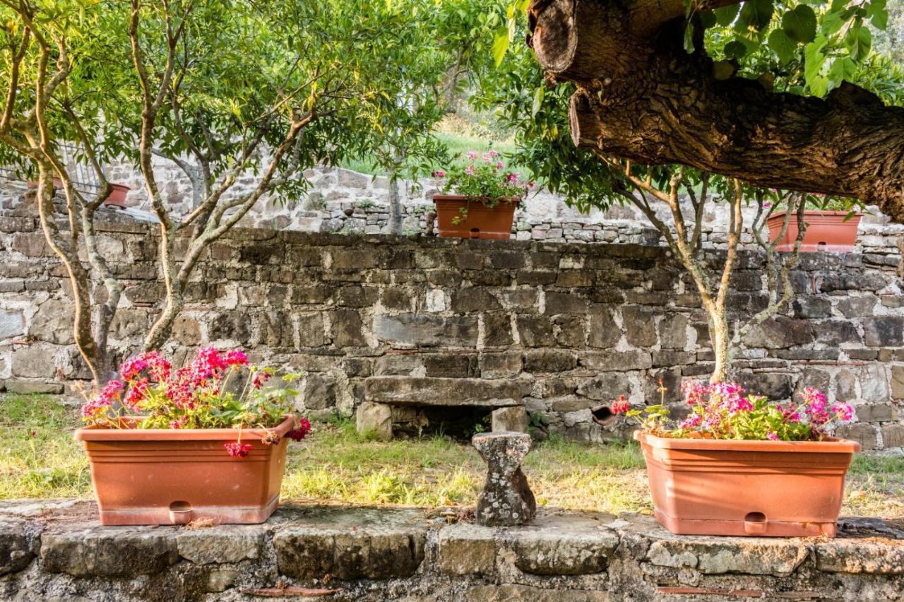 Bed and Breakfast Casale I Cirillo Rutino Exterior foto