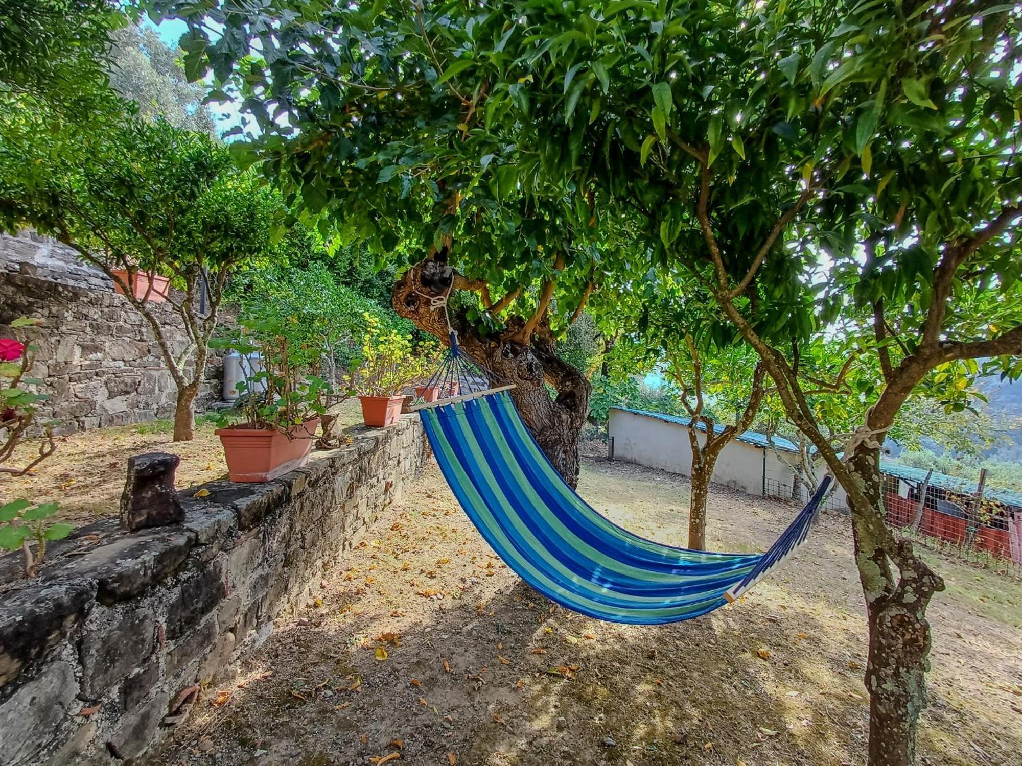 Bed and Breakfast Casale I Cirillo Rutino Exterior foto